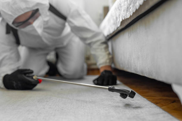 Professional Pest Control technician working in Edina, MO