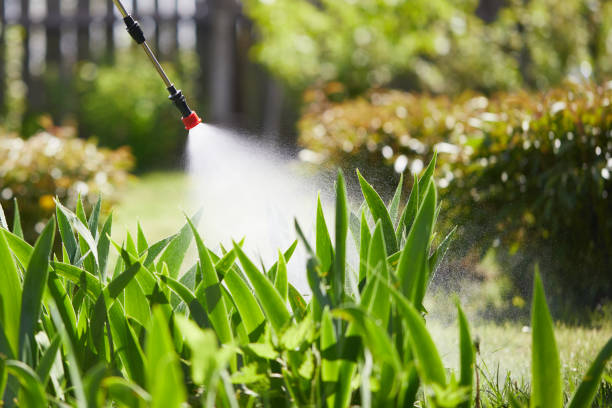 24/7 Emergency Pest Control experts in Edina, MO