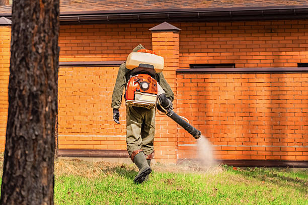 Top rated local Pest Control specialists in Edina, MO